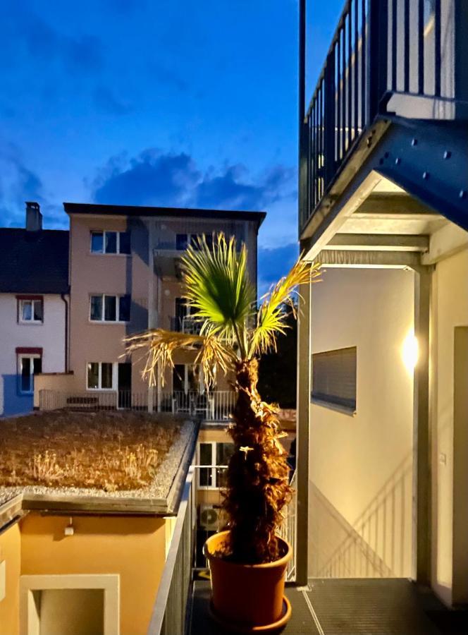Good Night Apartments Binningen Екстериор снимка